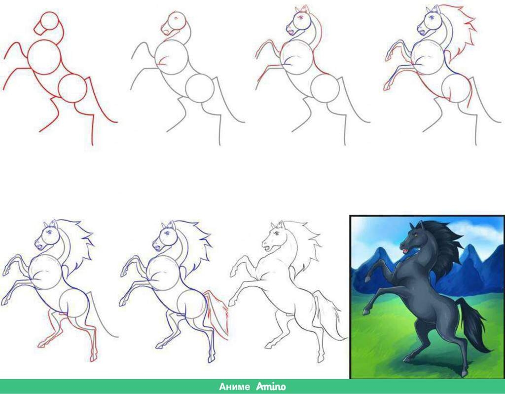 Kak. Как рисовать лошадь поэтапно карандашом. Как нарисовать коня карандашом поэтапно. Как научиться рисовать лошадей поэтапно. Как нарисовать лошадку карандашом поэтапно.
