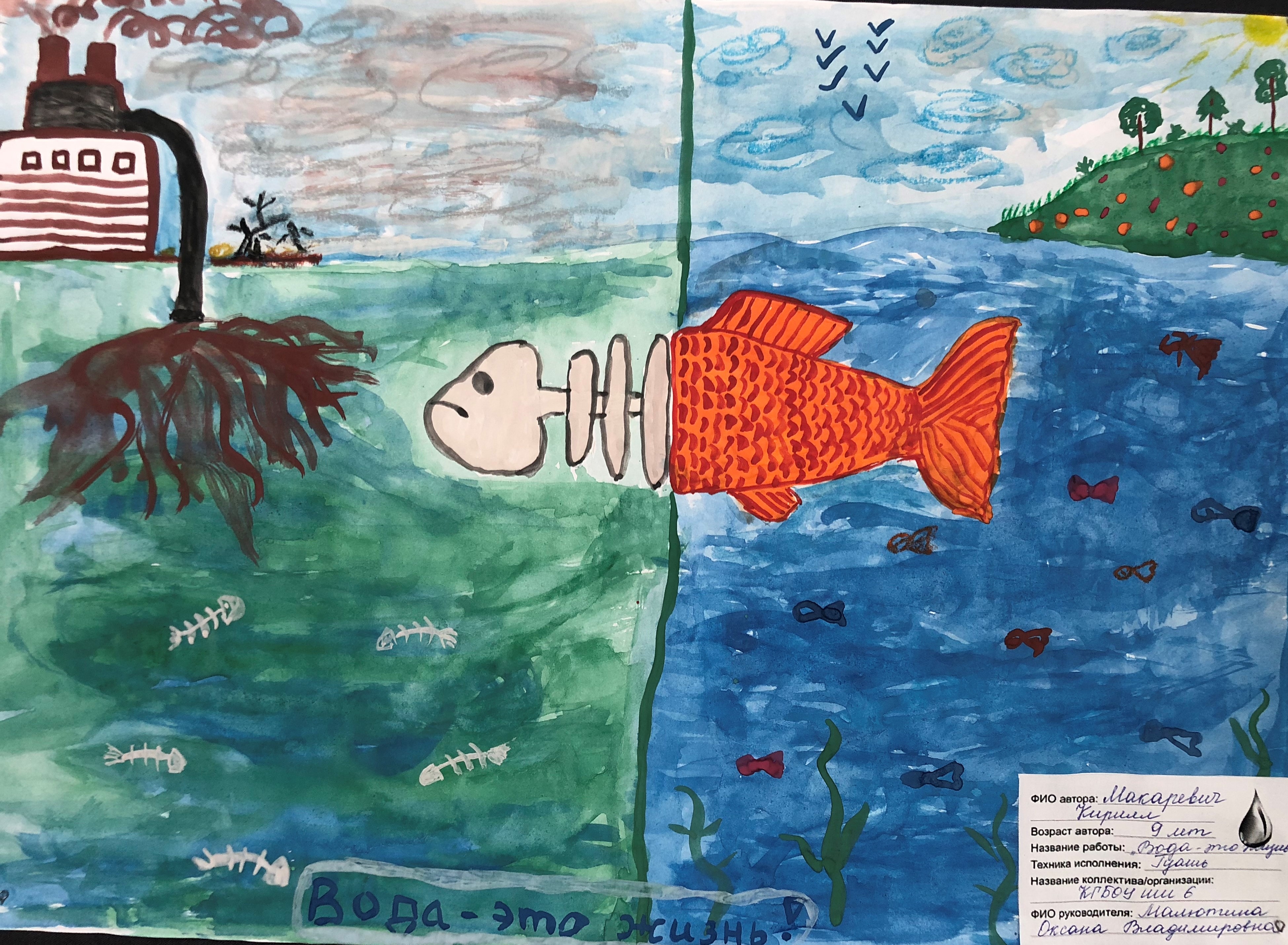 Мир воды название рисунков. Рисунки на тему мир воды на конкурс. Рисунок на тему водные богатства. Конкурс экологических рисунков на тему мир воды. Детские рисунки на тему мир воды.