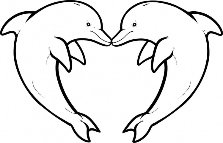 Легкий рисунок дельфина