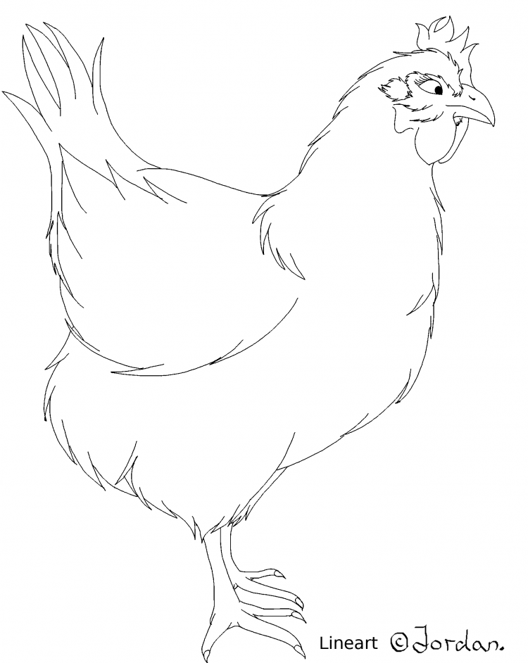 Рисунок курицы легкий