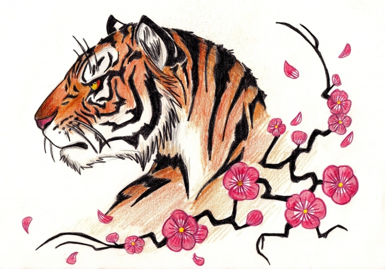 Тигр рисунок легкий для срисовки