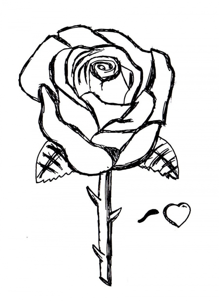 Эскиз розы простой
