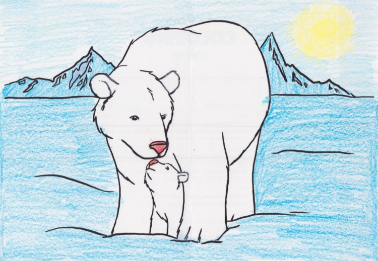 Рисунок на тему белый медведь