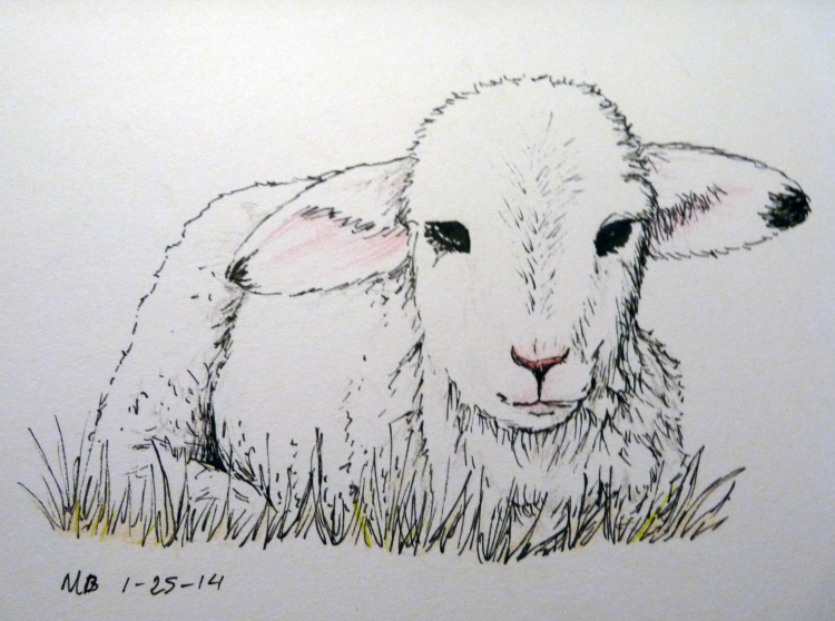 Овца для срисовки