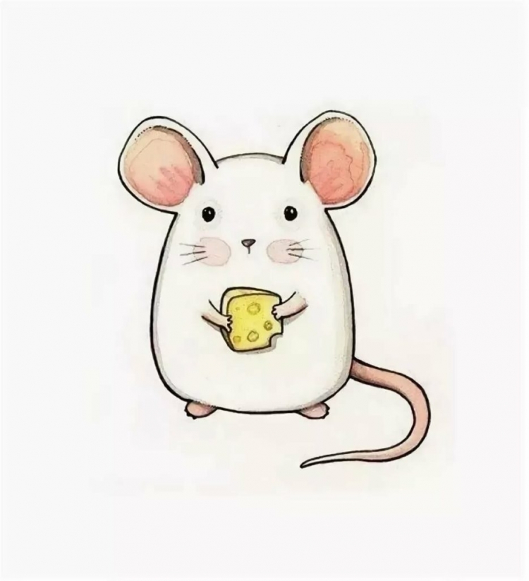 рисунок милая крыса