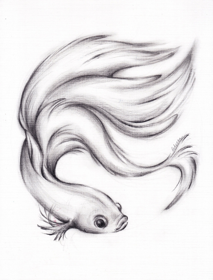 Рисунок рыбы для срисовки