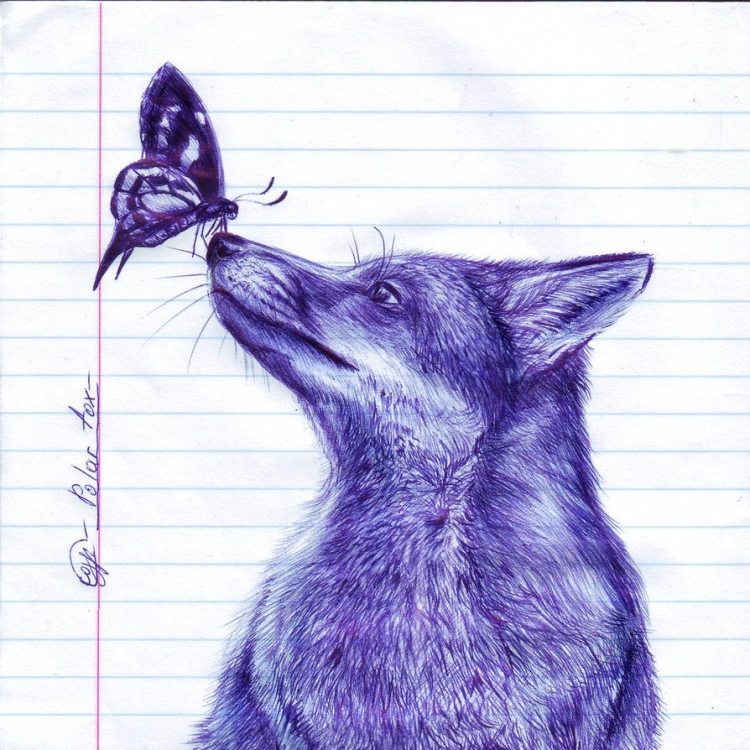 Рисунки ручкой для срисовки животные