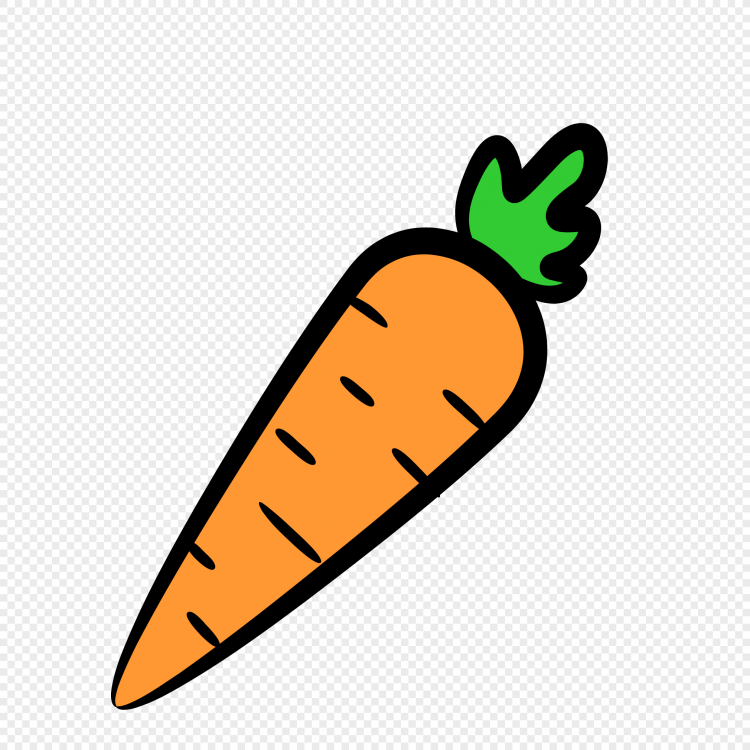Морковь для срисовки