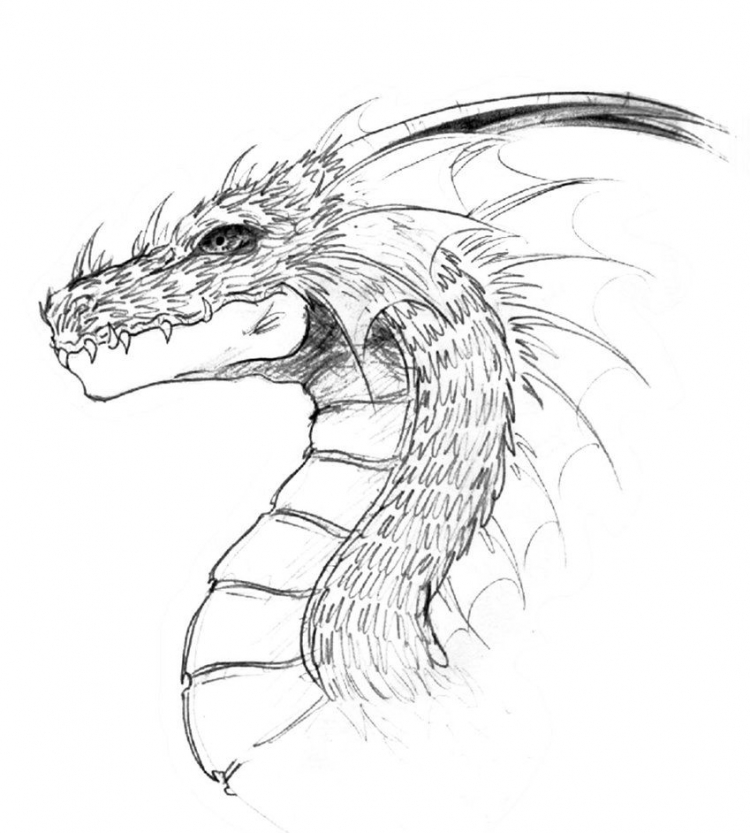 Китайский дракон рисунок карандашом для срисовки