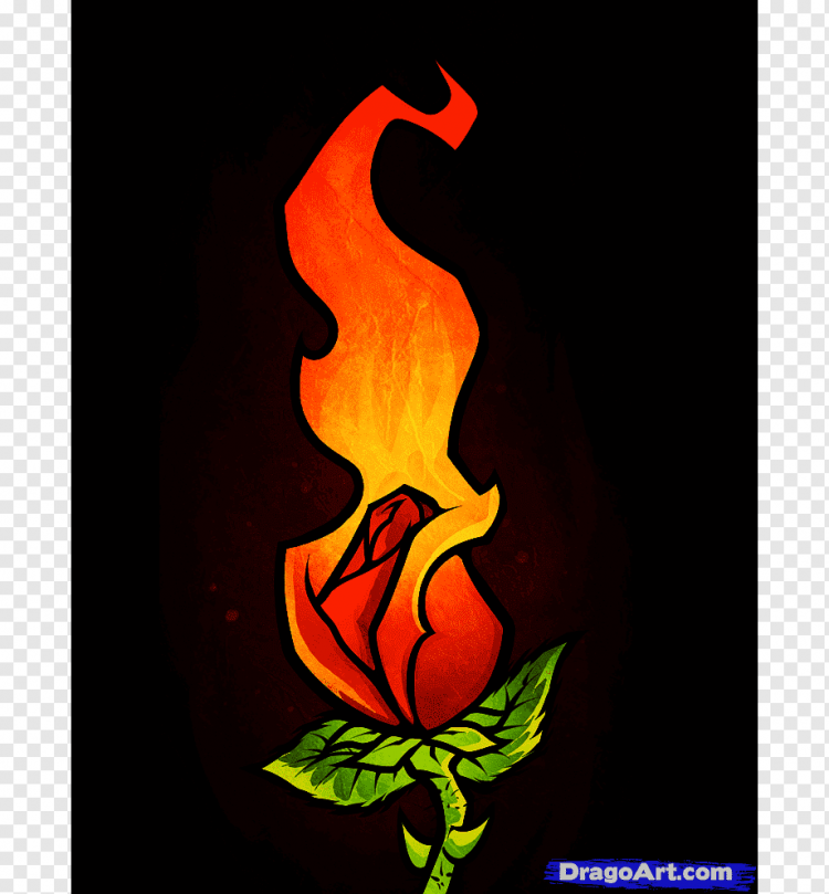 Срисовки роза в огне