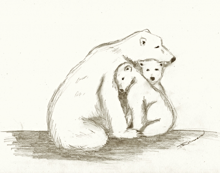 Медведица и Медвежонок рисунок для срисовки