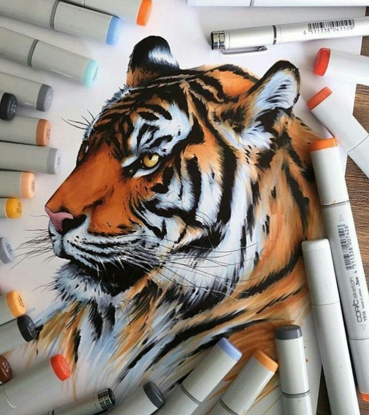 Тигр скетч маркерами