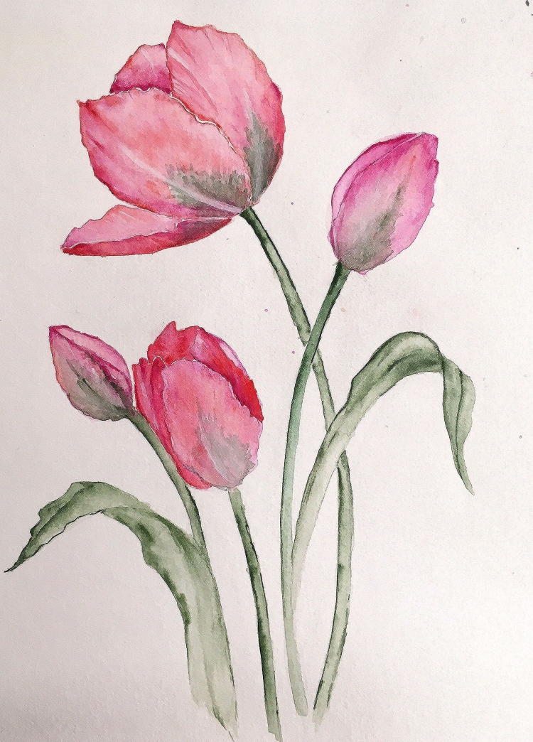 Рисуем тюльпаны акварелью поэтапно