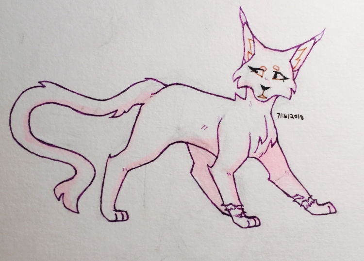 Коты воители рисунки карандашом для срисовки