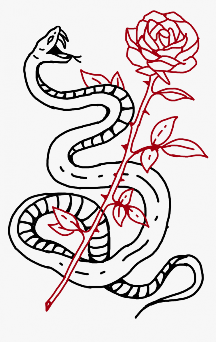 Легкий рисунок змей. Рисунки для срисовки змея. Эскиз змеи. Змея Татуировка эскиз. Набросок змеи.