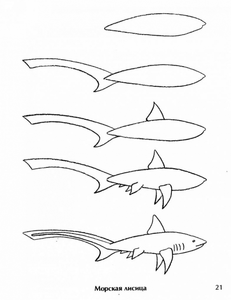 Акула рисунок для детей поэтапно