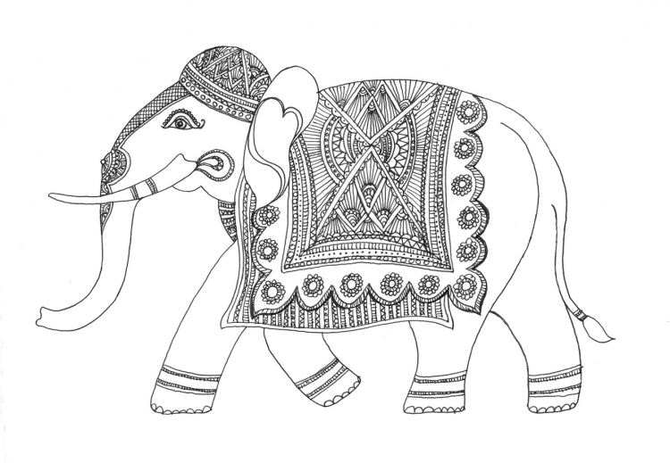 Зарисовки индийского слона