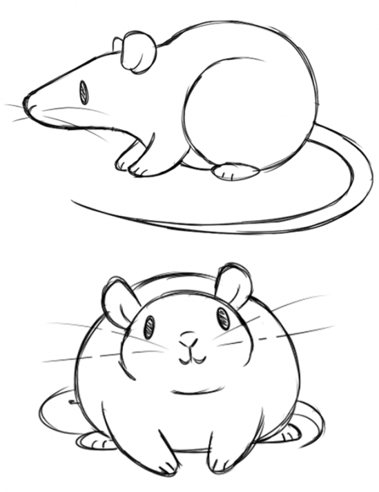 Поэтапный рисунок крысы