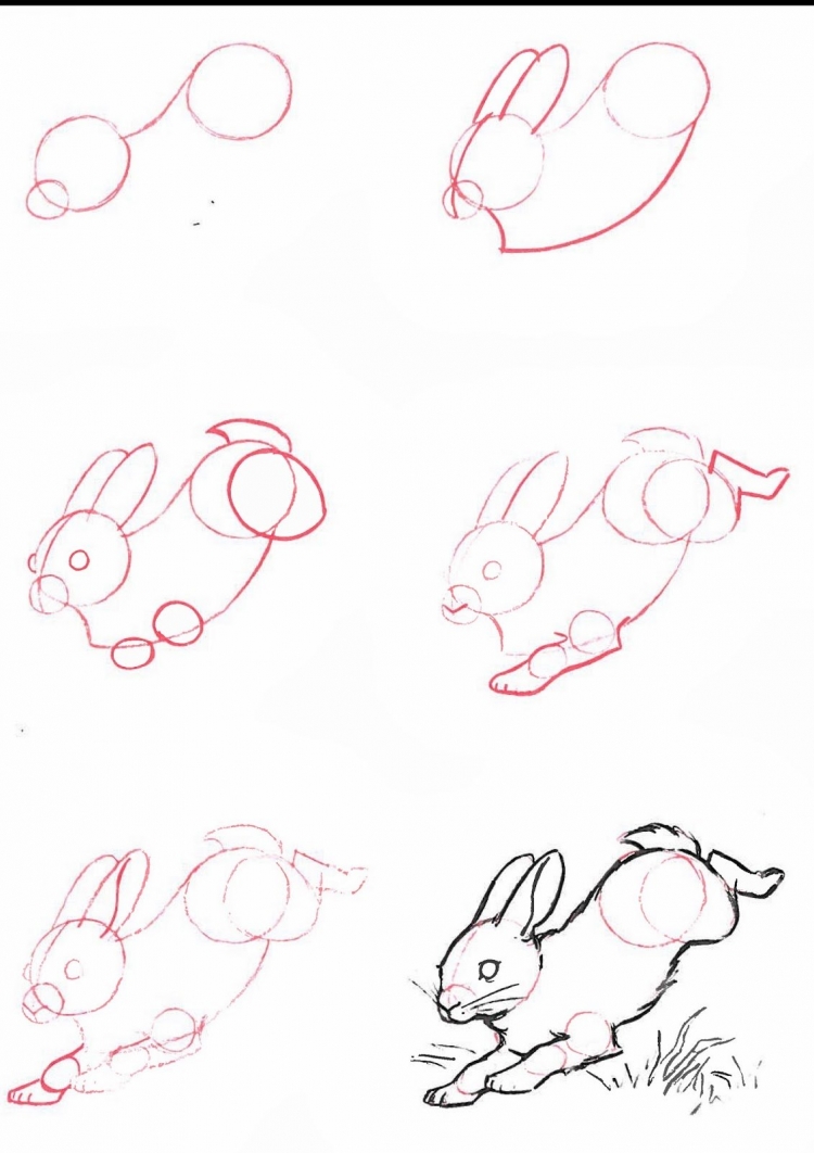 Поэтапный рисунок кролика
