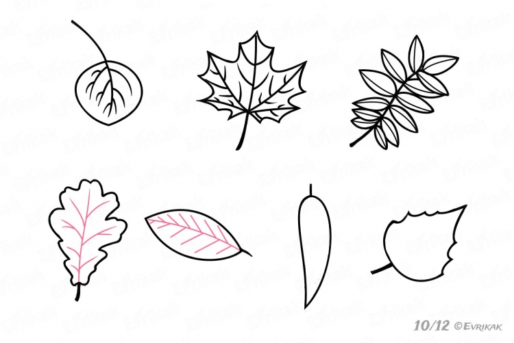 Осенние листья рисунок карандашом поэтапно