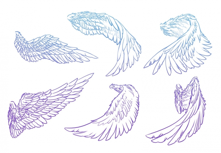 Крылья ангела поэтапно карандашом