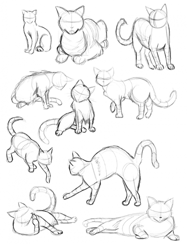 Зарисовки кошек в разных позах