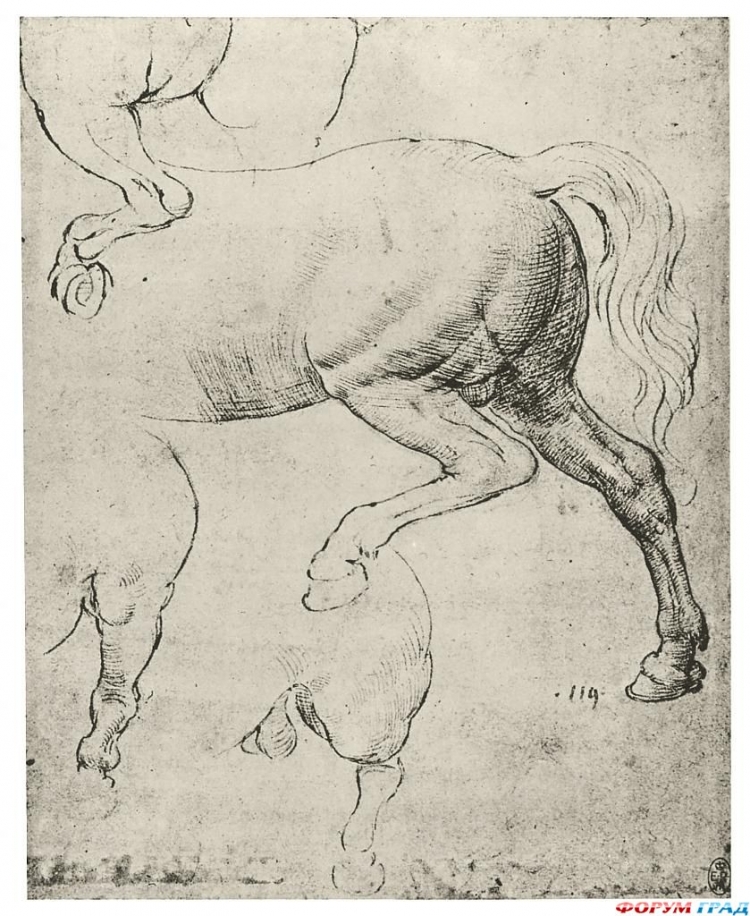 Леонардо да Винчи Наброски коня