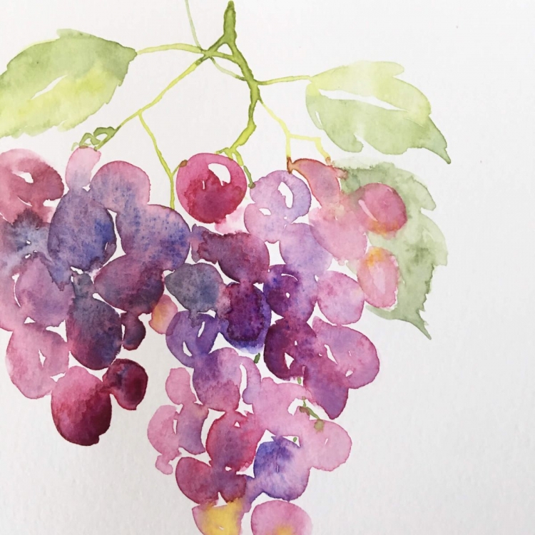 Рисуем виноград поэтапно акварелью