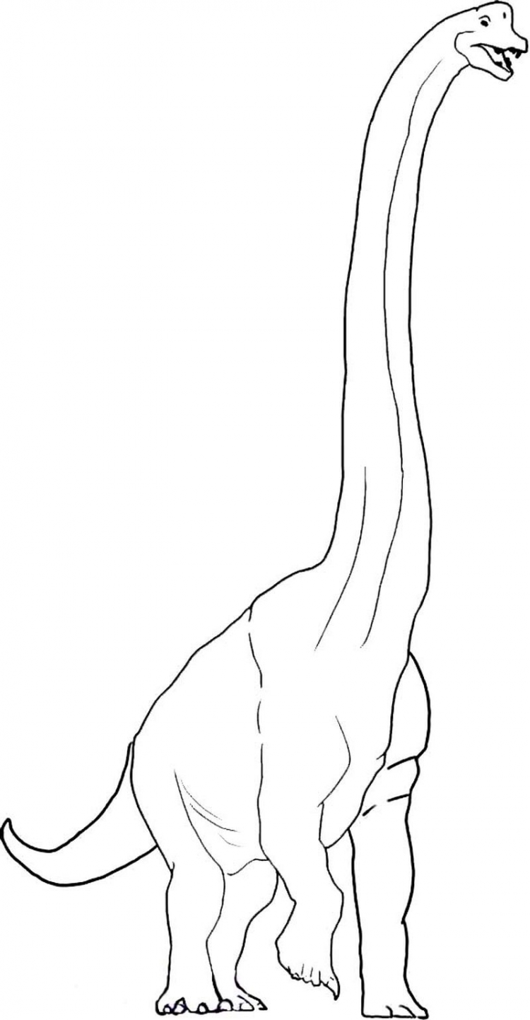 Рисунок Брахиозавра карандашом поэтапно