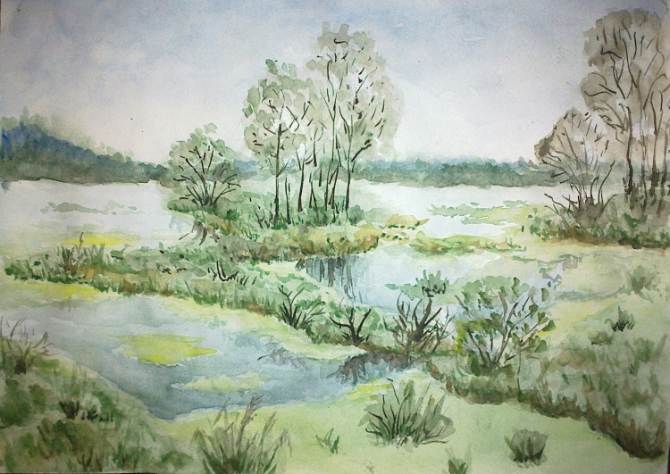 Рисунок на тему болото