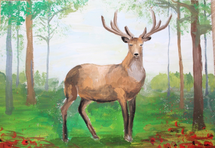 Рисунки на тему животные в лесу
