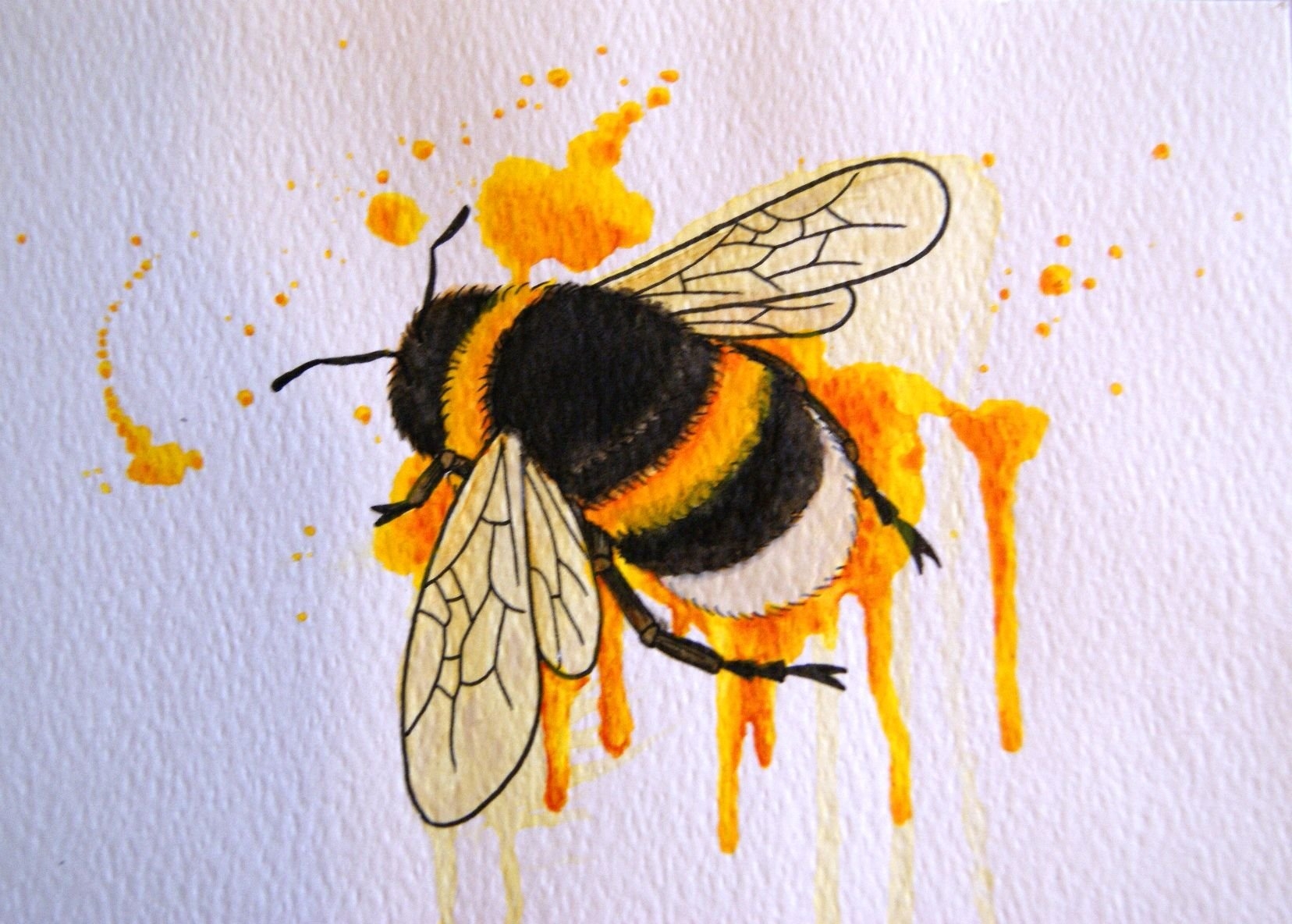 пчела рисунок карандашом цветным