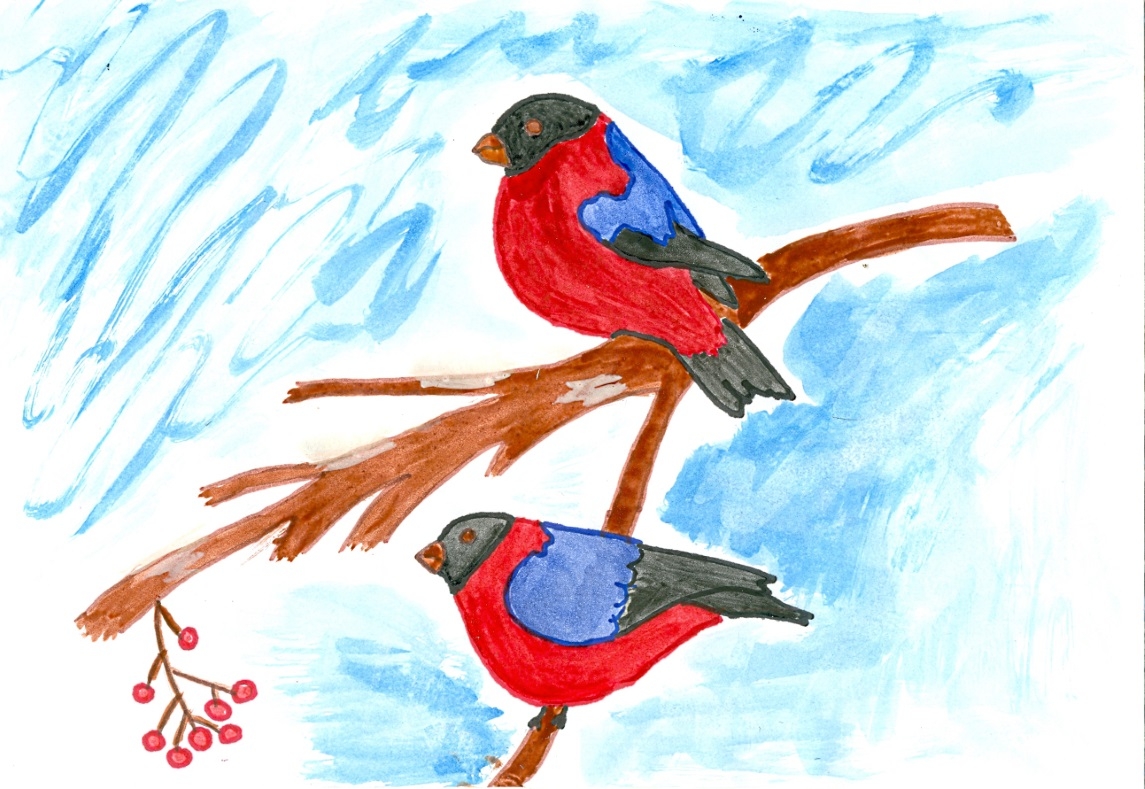 Раскраска: перелетные птицы для детей и не только