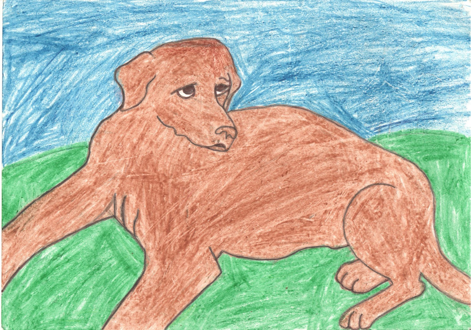 Рисовать любимое животное. Рисунки. Детские рисунки. Любые детские рисунки. Собака детский рисунок.