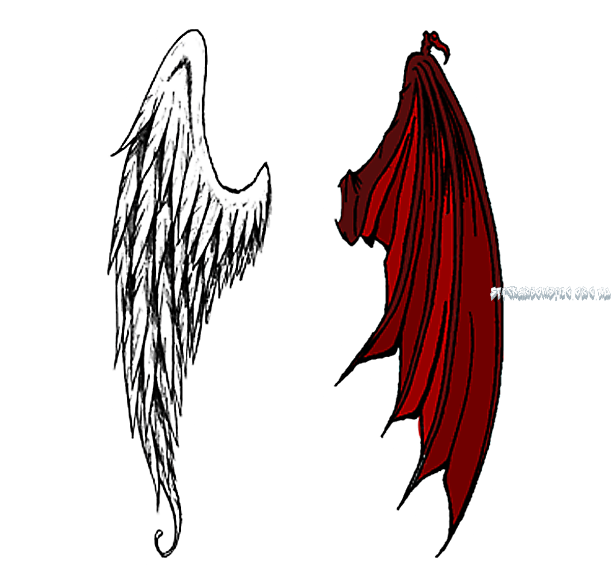 Анатомия крылатых и некрылатых