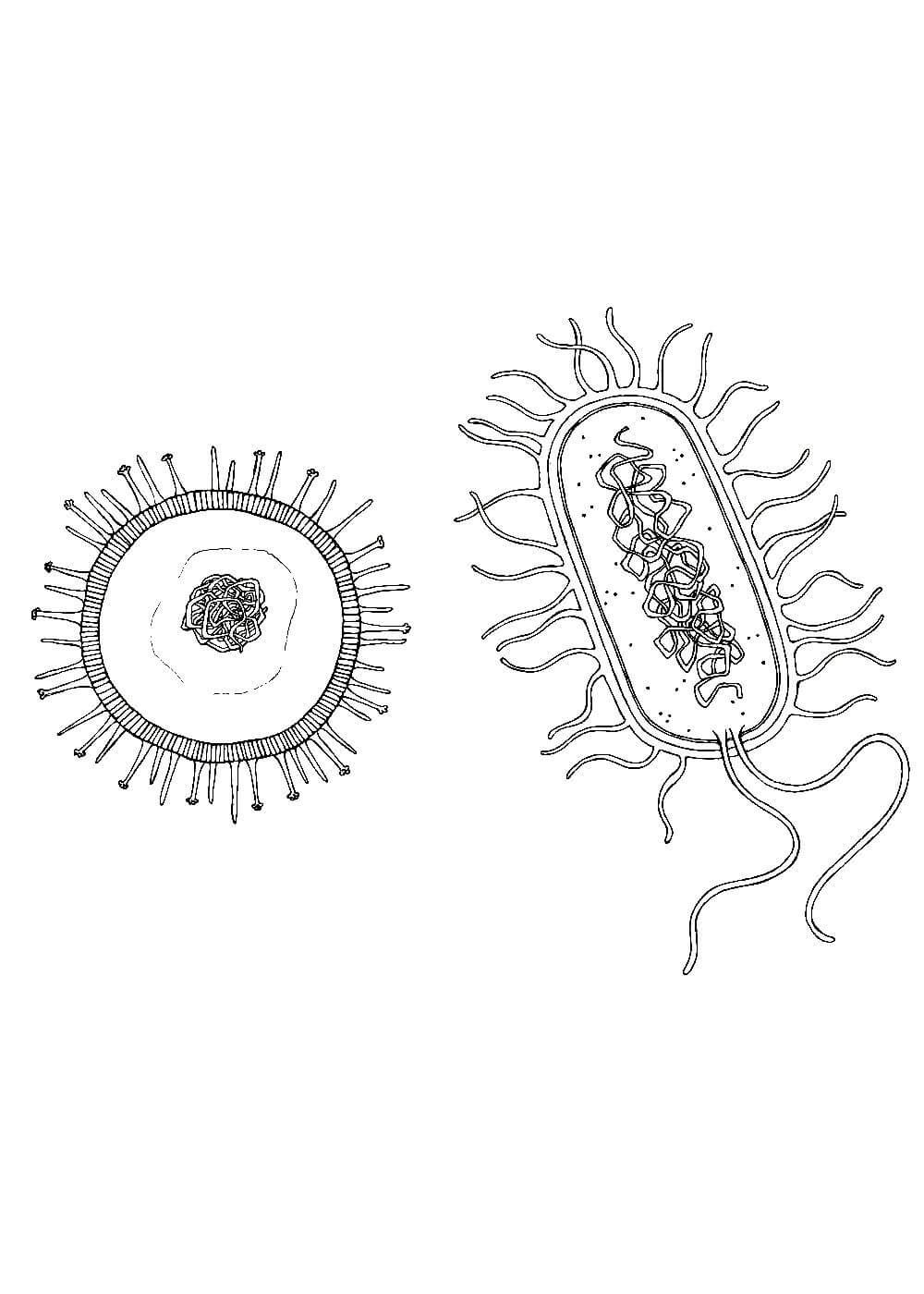 Супер-раскраска «Тайны микробов» — Супер-раскраска — УМка — Купить за ₸