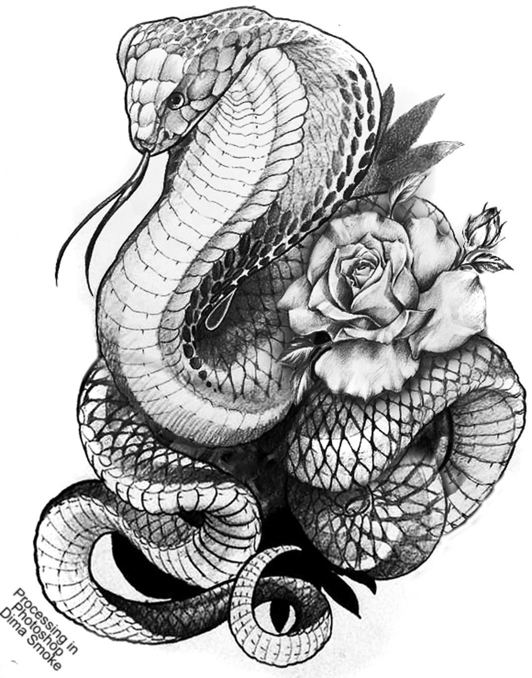 Эскизы татуировок со змеей