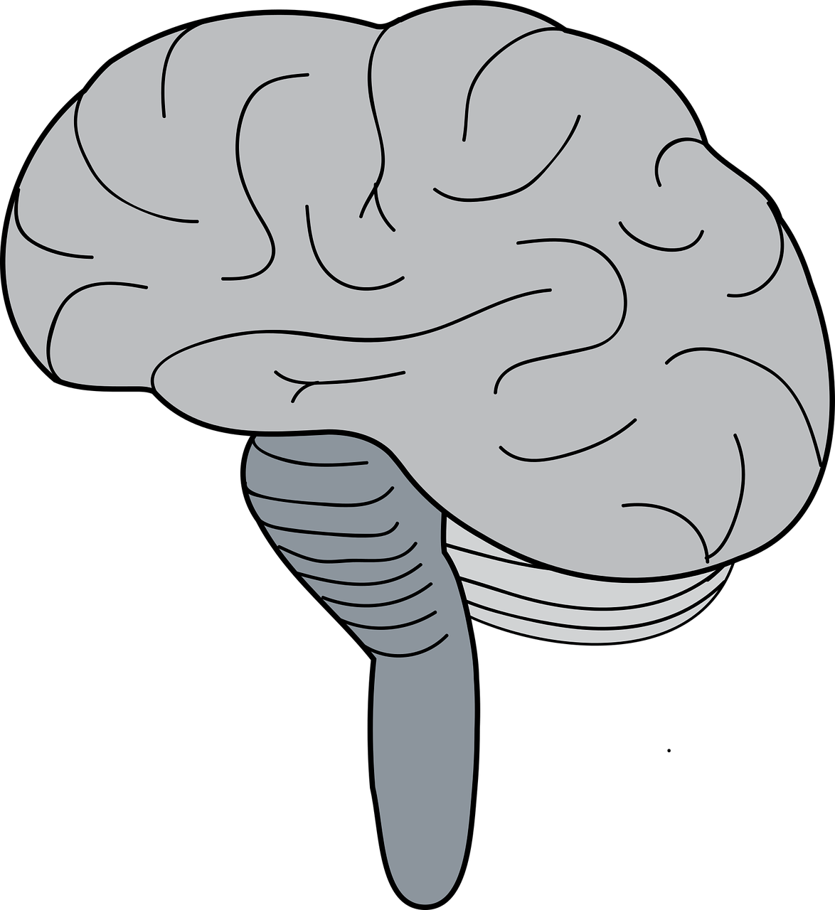 Рисунок мозга легко. Мозг рисунок. Мозг нарисованный. Мозг человека рисунок.