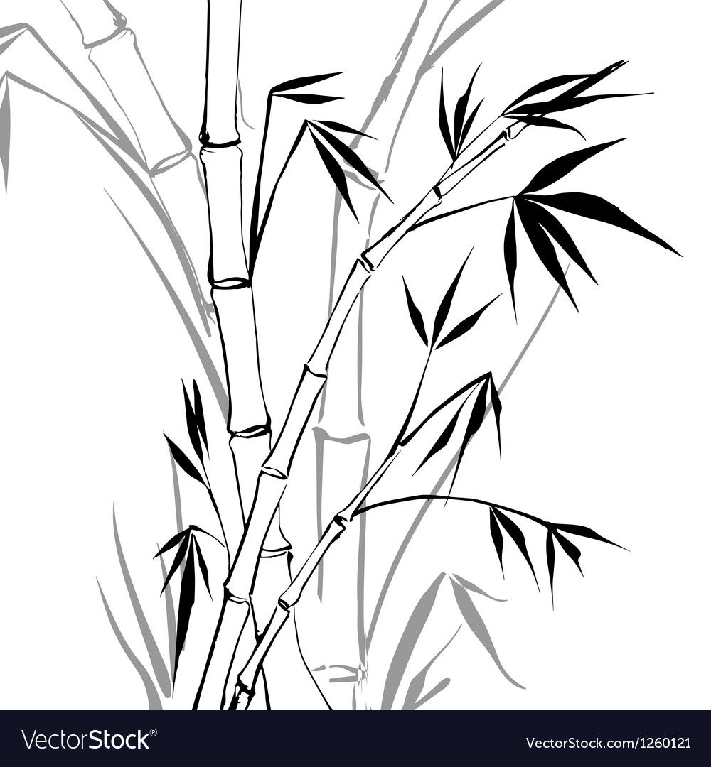 Бамбук (Bambusa). Рисунок в стиле се-и