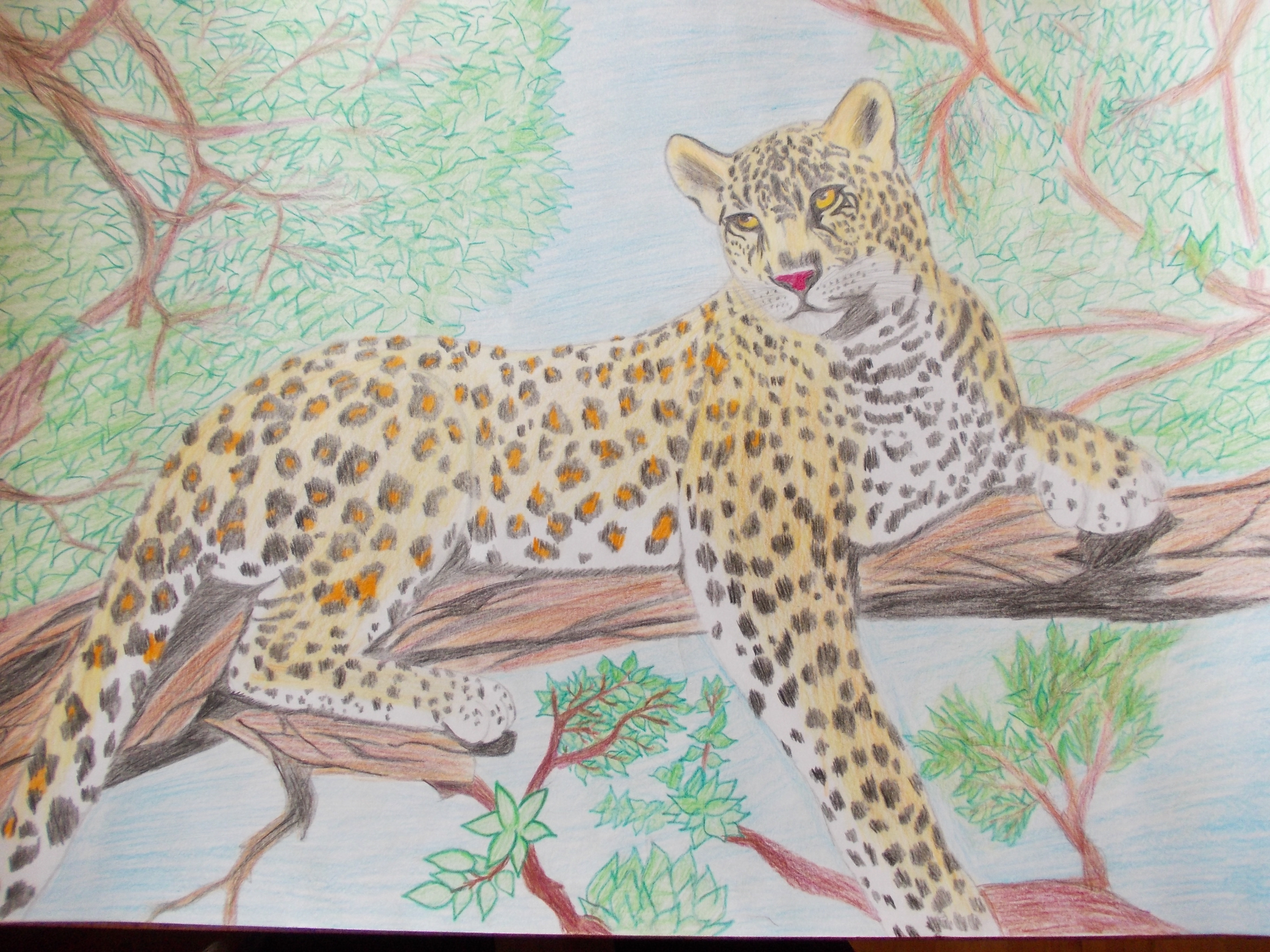 Про 1 зверей. Переднеазиатский леопард. Дальневосточный леопард красная книга. Рисование детьми Дальневосточного леопарда. Леопард рисунок.