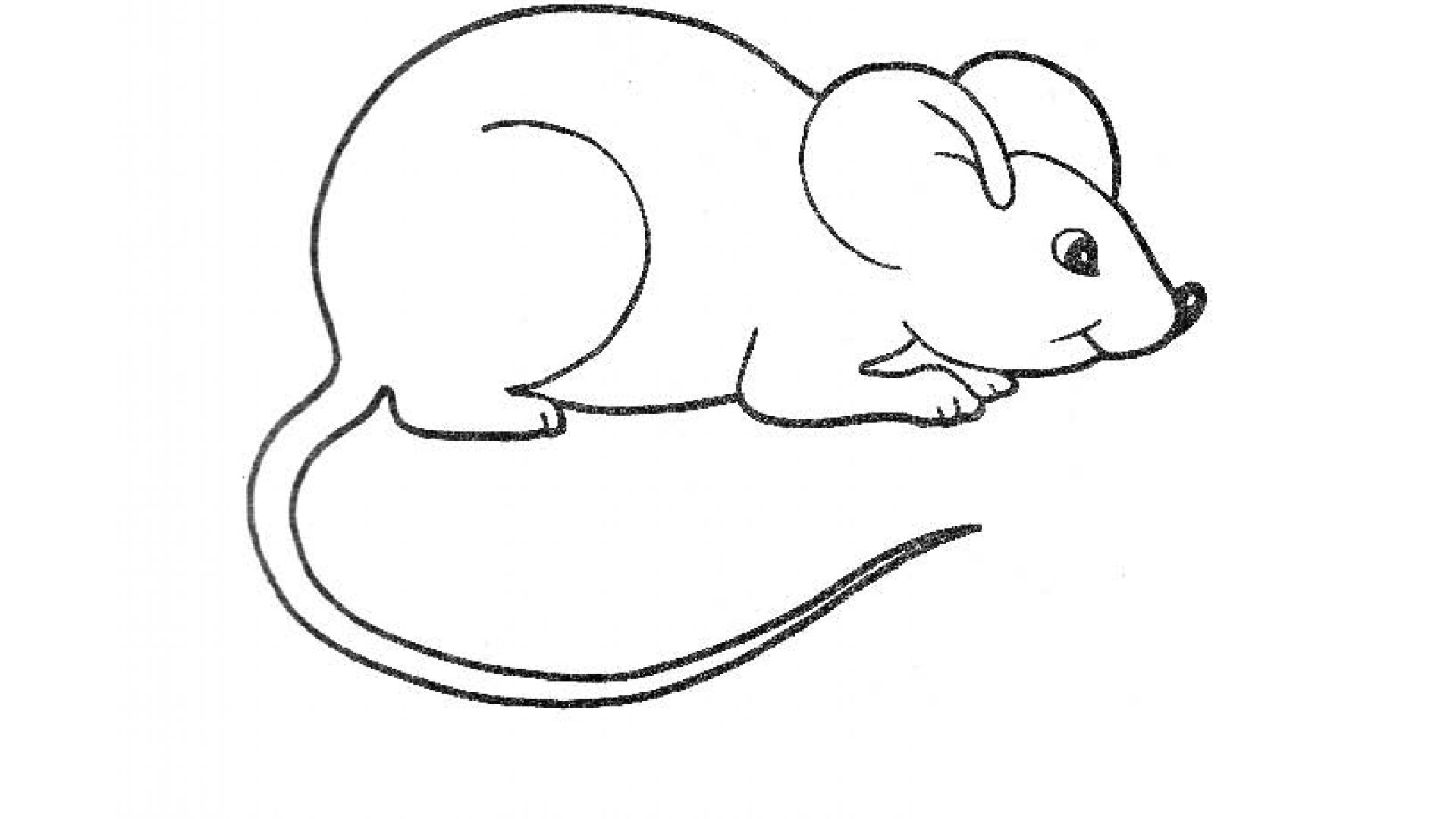 мышка рисунок для детей картинки
