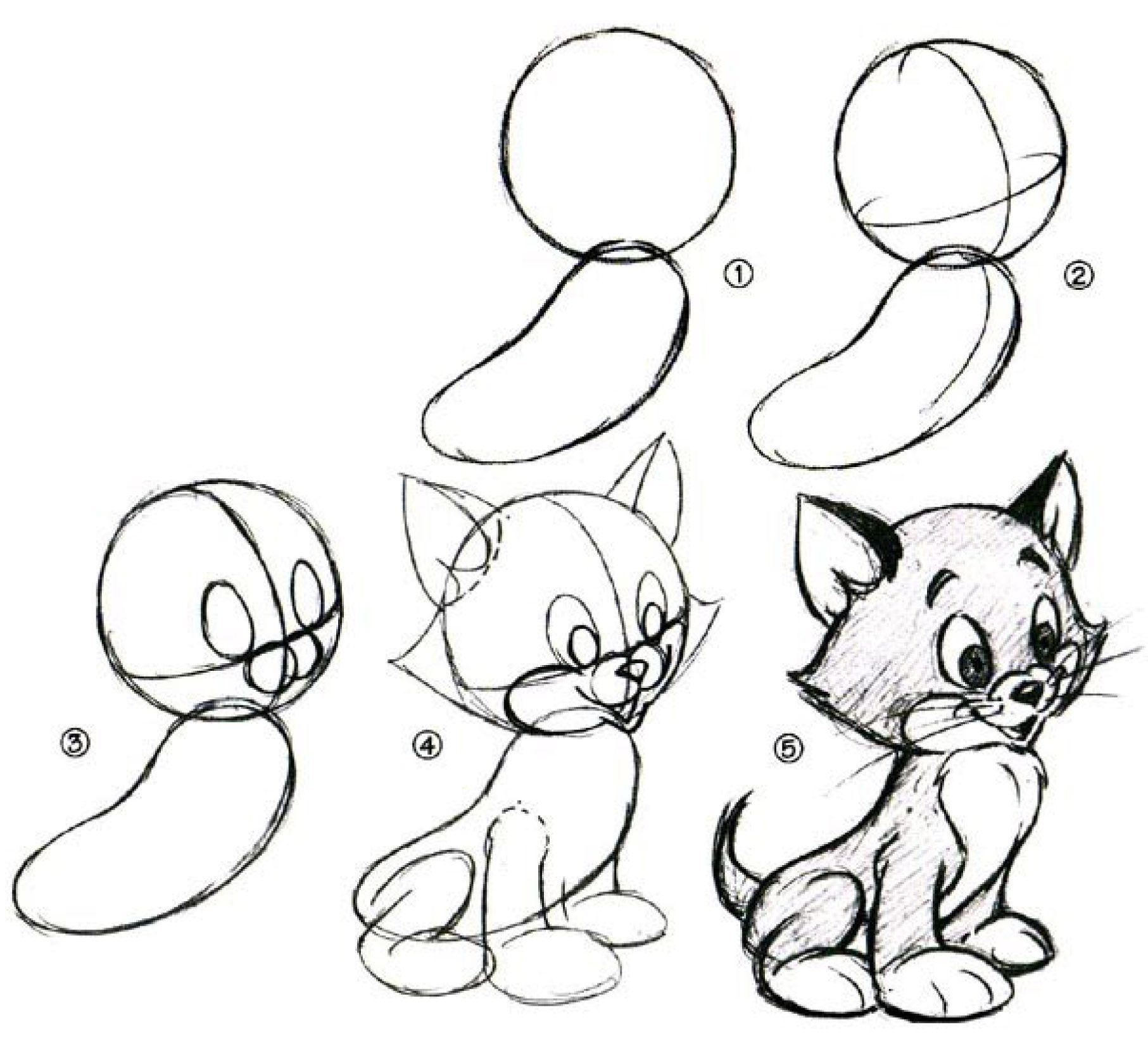 Котенок карандашом поэтапно. Простые рисунки для начинающих. Красивые рисунки для начинающих. Пошаговые рисунки карандашом. Рисунки карандашом для начинающих.