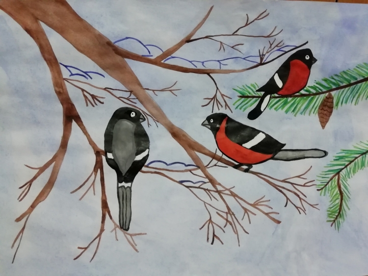 Рисунок на тему птицы наши друзья