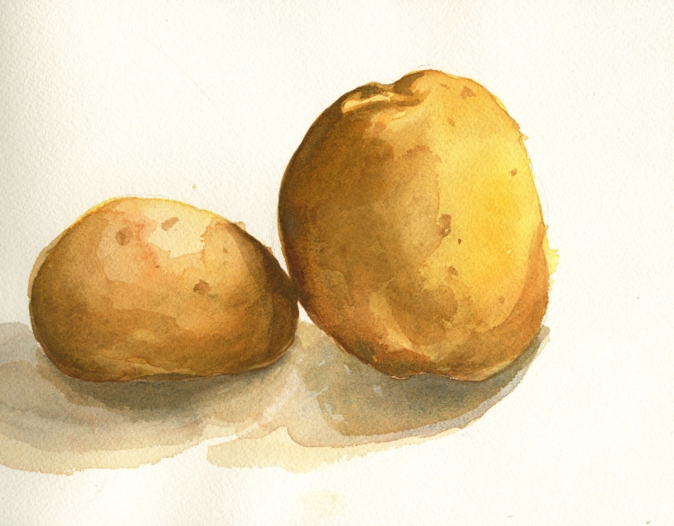 Рисунки на тему картофель