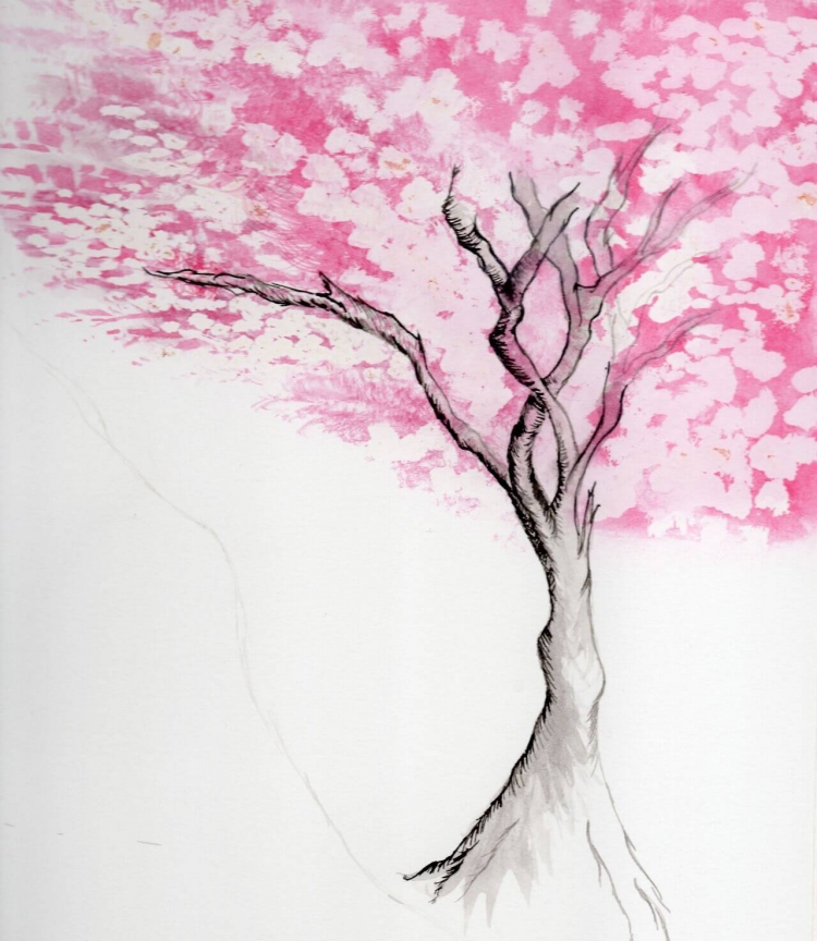 Дерево Сакура для срисовки