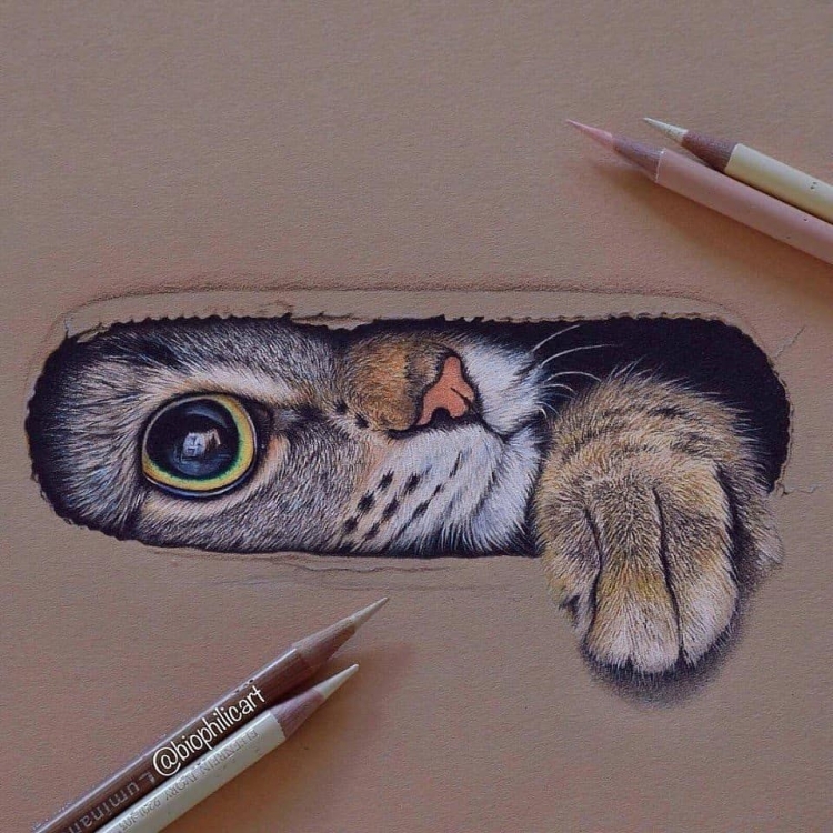 Рисуем животных цветными карандашами