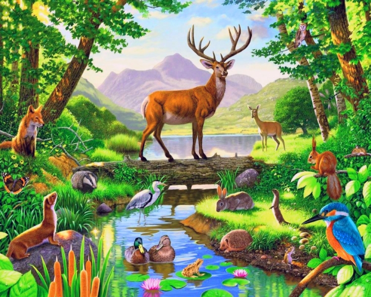 Рисунок на тему Флора и фауна
