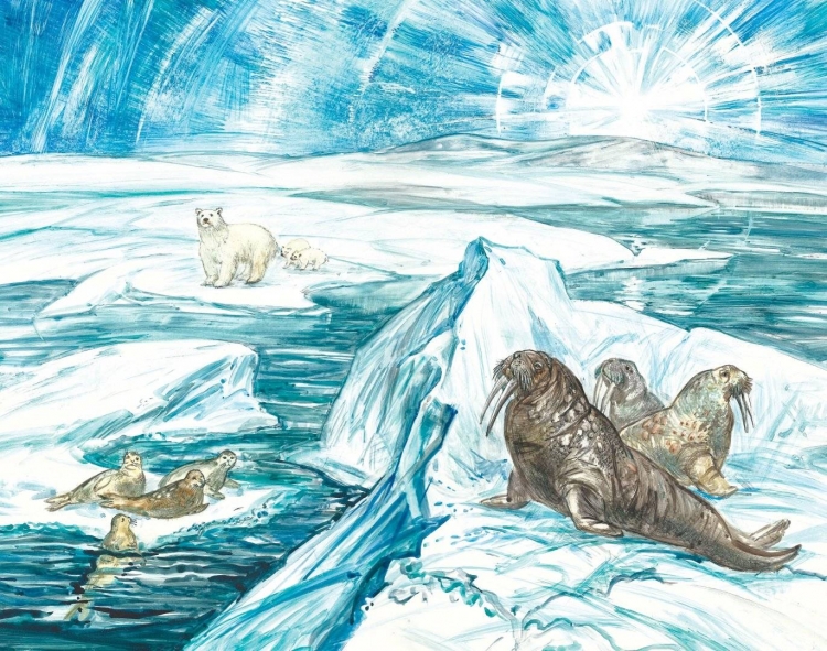 Рисунки на тему Арктика для детей