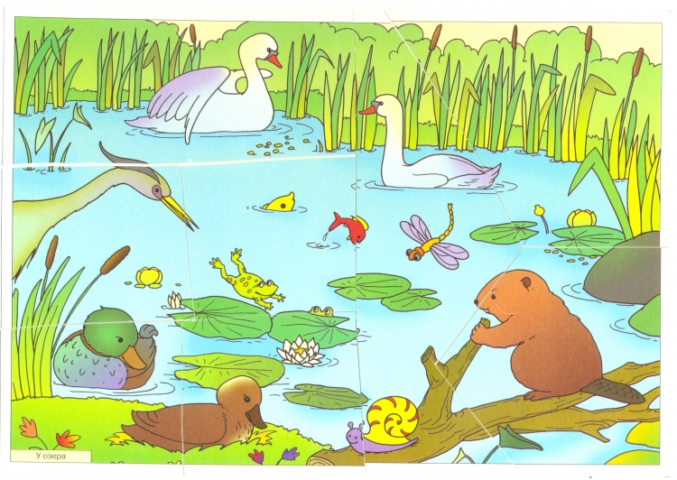Рисунок на тему обитатели водоёмов