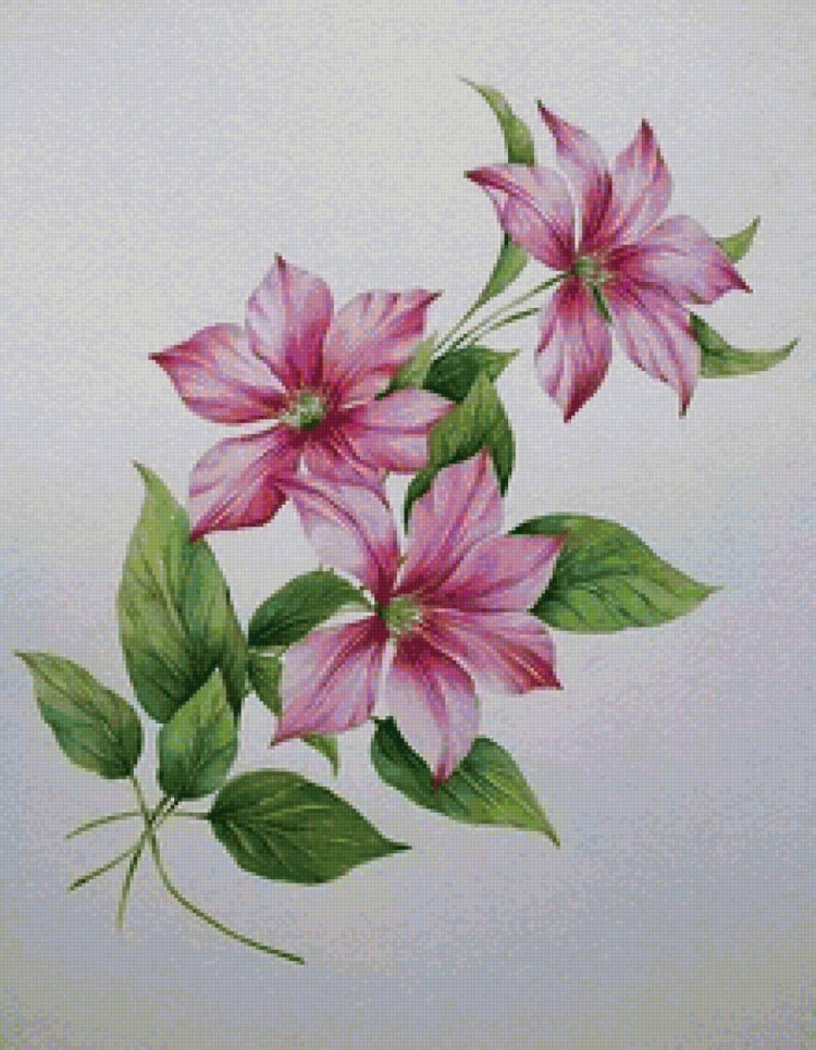 Рисунки цветными карандашами цветы и растения